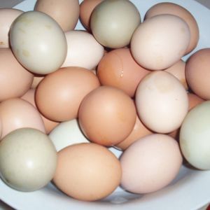 Meet your Posher, Deborah